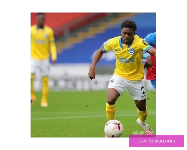 布莱顿数据分析揭示城市经济复苏新趋势，表现亮眼吸引投资者关注